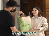 Definition & pronunciation of transport