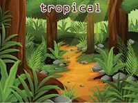 Definition & pronunciation of tropical