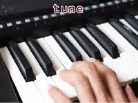 Definition & pronunciation of tune