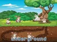 Definition & pronunciation of underground