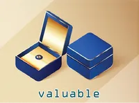 Definition & pronunciation of valuable