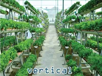 Definition & pronunciation of vertical