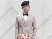 Definition & pronunciation of vest