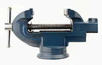 Definition & pronunciation of vice