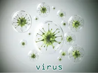 Definition & pronunciation of virus