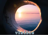 Definition & pronunciation of visible