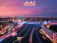 Definition & pronunciation of vivid