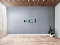 Definition & pronunciation of wall
