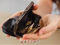 Definition & pronunciation of wallet