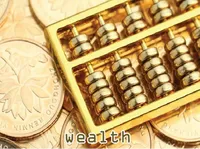 Definition & pronunciation of wealth