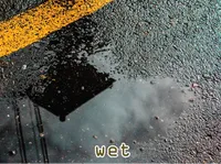 Definition & pronunciation of wet