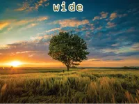 Definition & pronunciation of wide