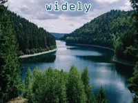 Definition & pronunciation of widely