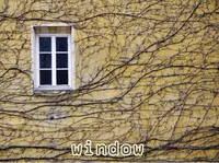 Definition & pronunciation of window