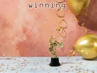 Definition & pronunciation of winning