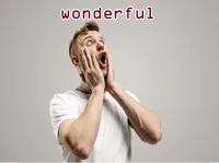 Definition & pronunciation of wonderful