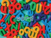 Definition & pronunciation of word