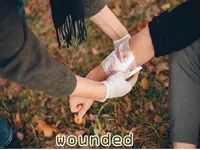 Definition & pronunciation of wounded