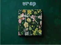 Definition & pronunciation of wrap