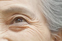 Definition & pronunciation of wrinkle