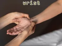 Definition & pronunciation of wrist