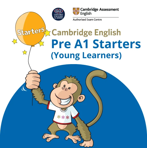 A1 English Test Preparation: Strategies and Secrets to Successfully Obtaining the Certificate